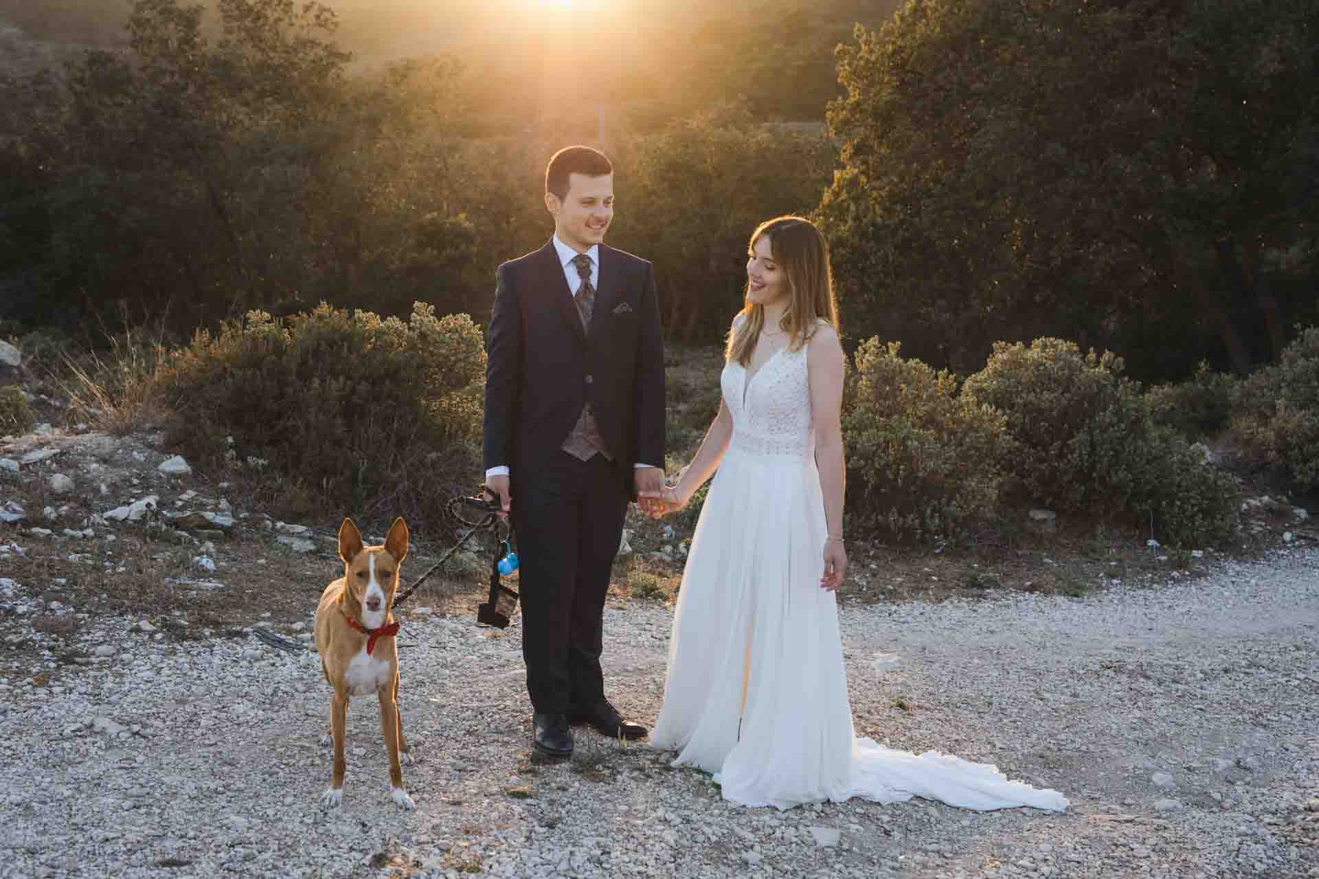 Boda con tu mascota