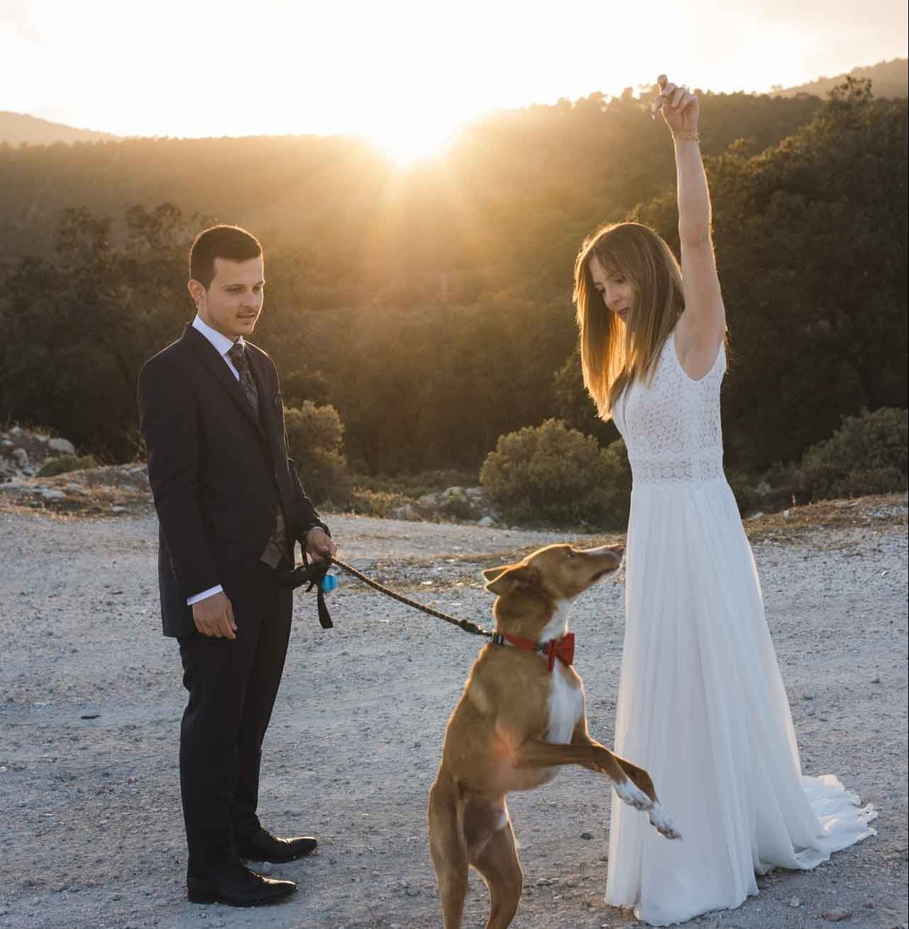 Boda con tu mascota