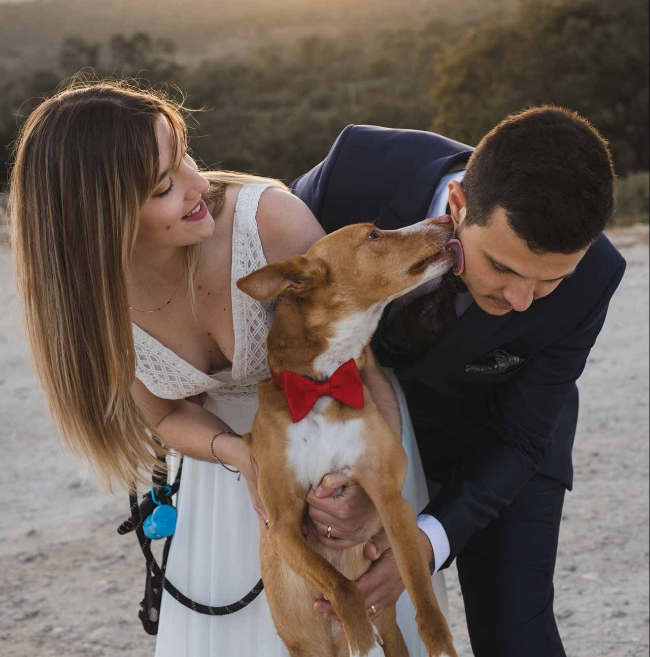 Boda con tu mascota